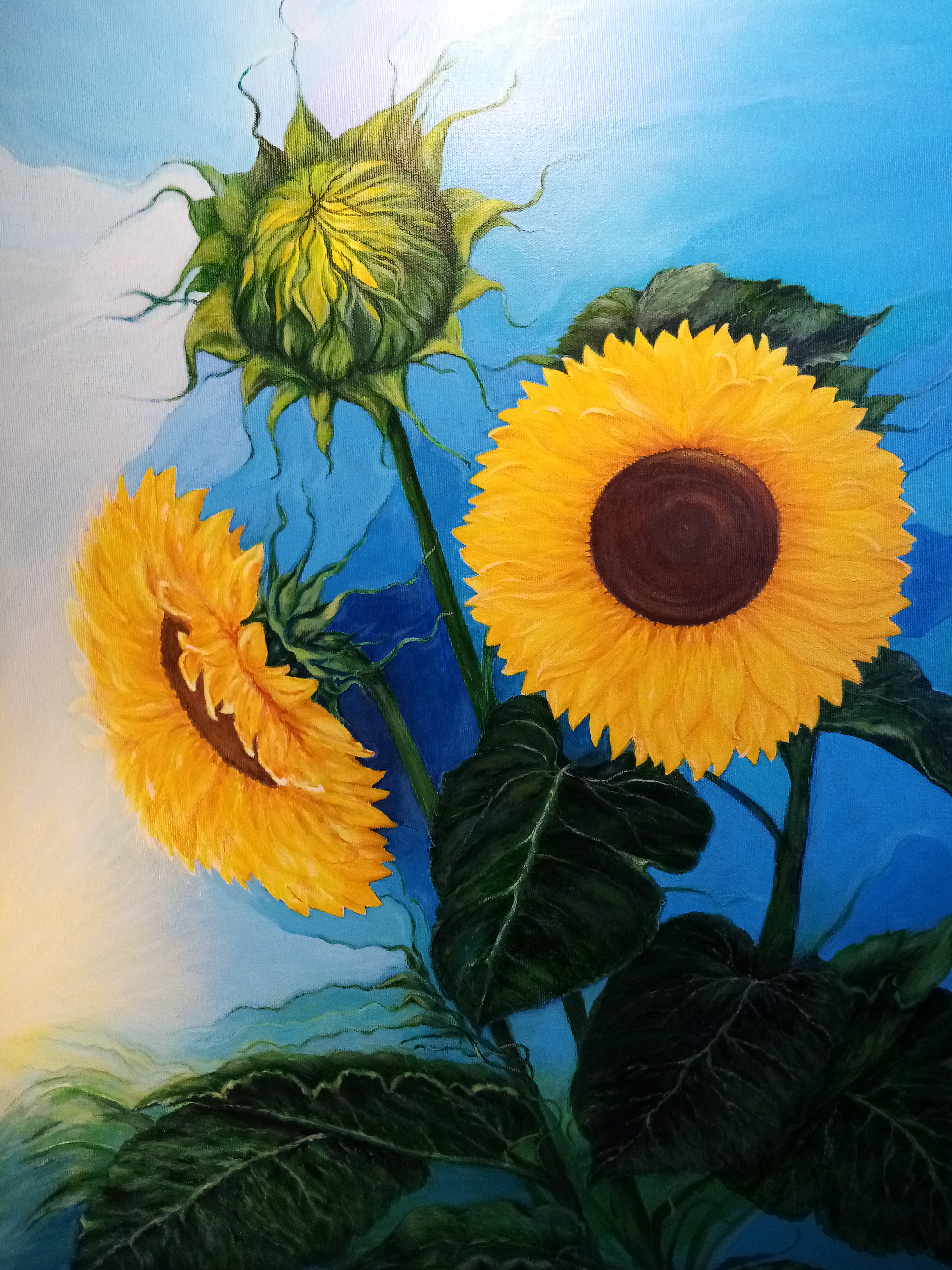 "Sunflowers 1"